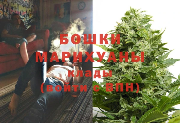 соль ск Осинники